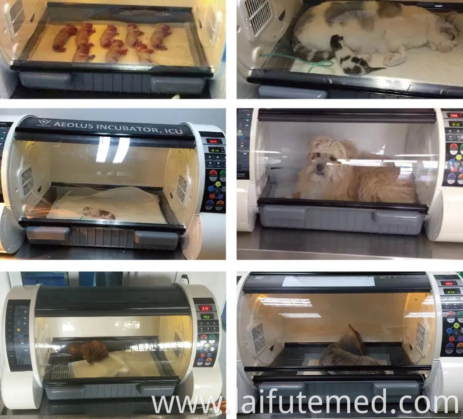 Medical Care Veterinary ICU Incubator Puppy Dog Incubator Portable Pet Brooder